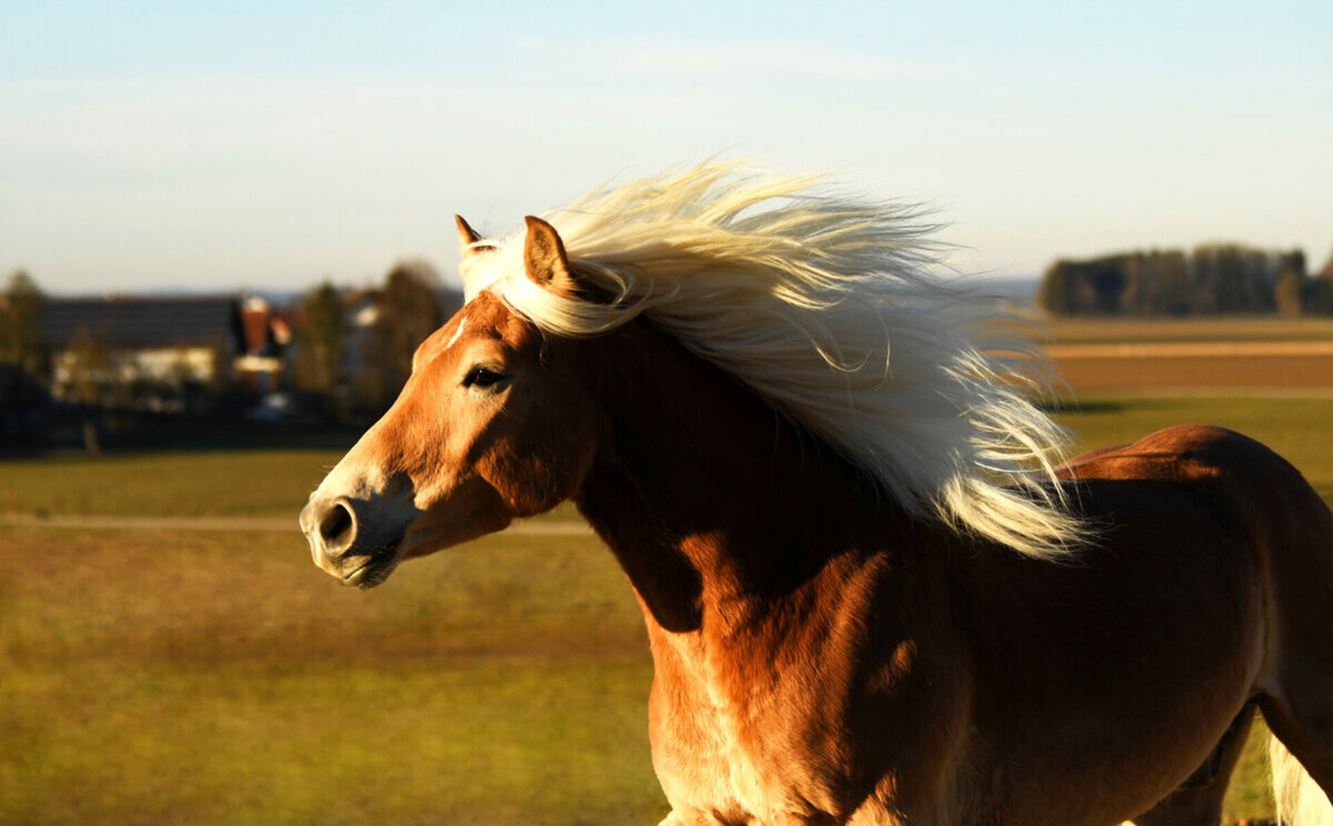 Mk Kreativfoto